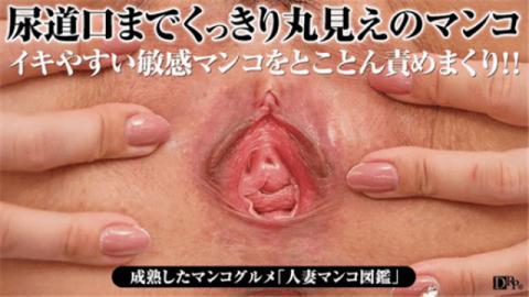 Pacopacomama 030417_039 Mike Takashima Housewife pussy illustrations 60